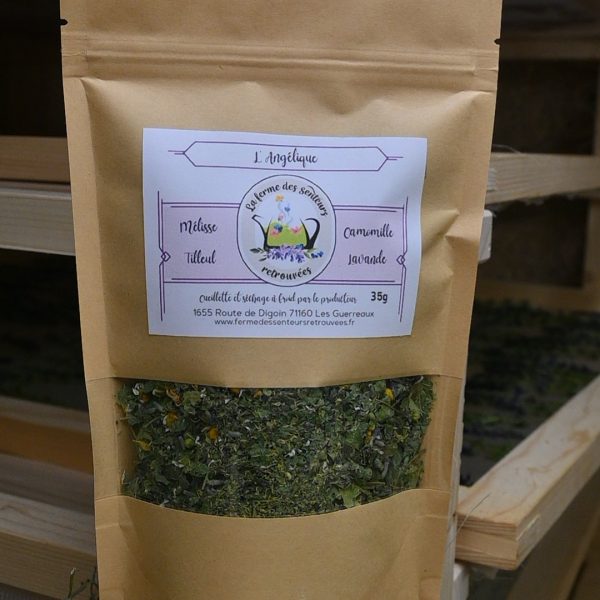 Sachet de tisane l'Angélique